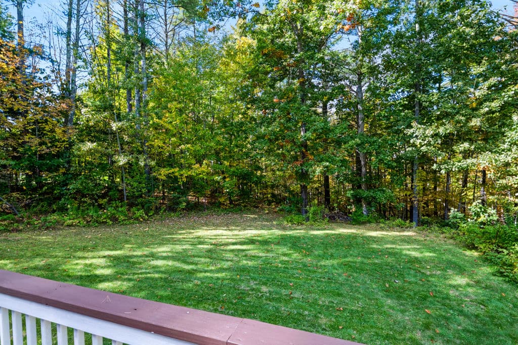 Back yard edged by mature woods